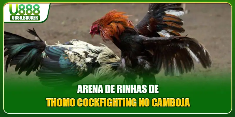 Arena de rinhas de Thomo cockfighting no Camboja